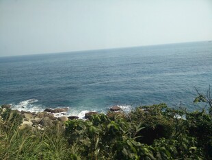 海边绿意盎然的美丽景致