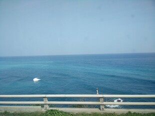 海景风光 公路与海的美景