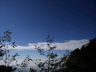 蓝天绿树间的云端美景