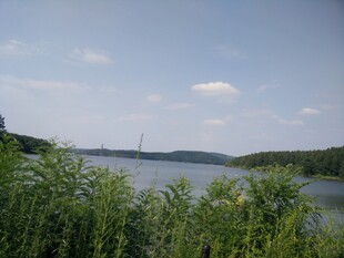 湖畔绿植与开阔水域景观
