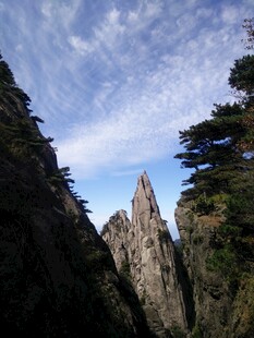 黄山奇峰与苍松景观
