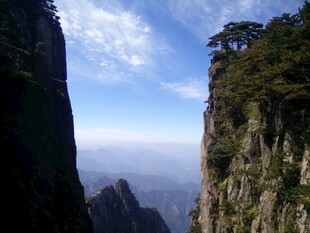 巍峨山峰上的挺拔青松