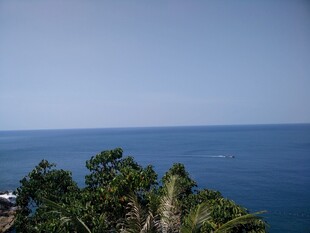 俯瞰碧海绿树美景