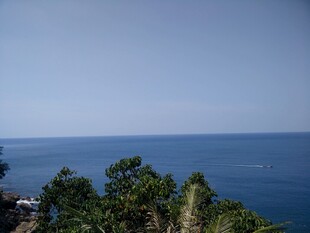 海边绿意盎然的美丽景致