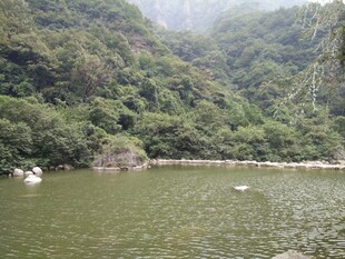 山间绿水 自然静谧之景