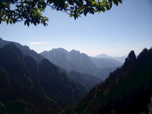 壮丽山景 山峦与枝叶之美