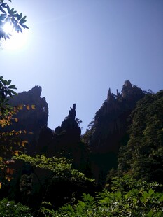 奇峰耸立的山林美景
