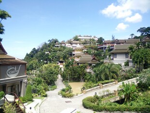 山间美丽村落景观