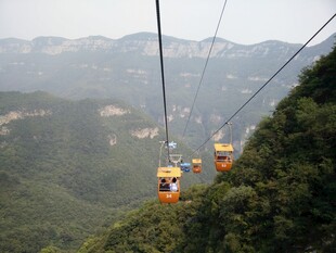 山间缆车穿梭于翠绿山林