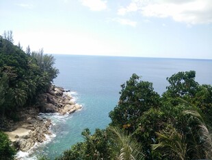 海岸绿树环绕的美丽海景