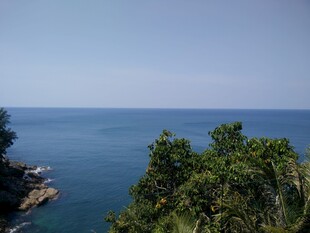 海岸绿树与辽阔蓝色海洋