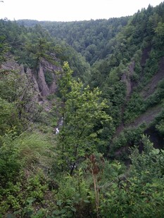 山间葱郁峡谷景观