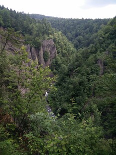山间峡谷绿意盎然景观