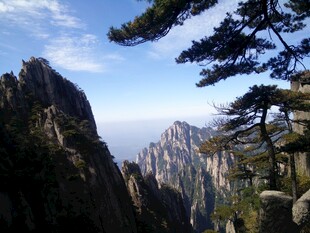 黄山奇峰与松景