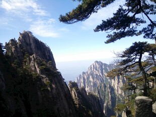 黄山奇峰与苍松美景