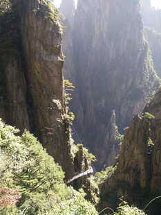 张家界奇峰间的悬空栈道