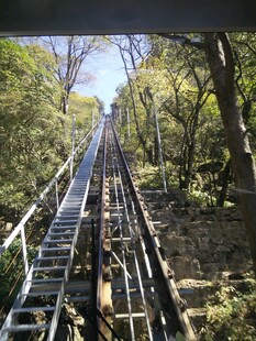 山林中的木质阶梯步道
