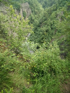 山间葱郁绿意的自然景致