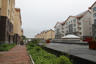 城市街道旁的建筑与绿植