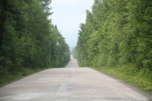 林间延伸的静谧公路