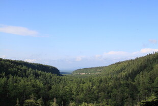 山间葱郁森林与蓝天美景