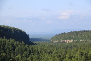 山林景观 广袤绿野
