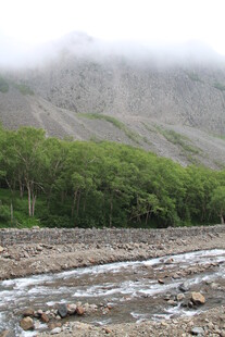 山间溪流旁绿树环绕之景