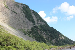 壮丽山景与葱郁植被