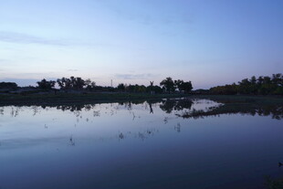 宁静湖畔黄昏美景