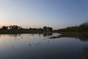 黄昏湖畔倒影静谧美景