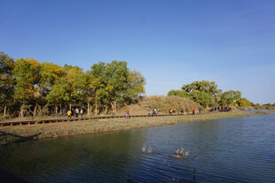 秋日河畔美景
