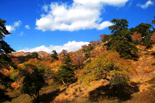 秋日山林美景