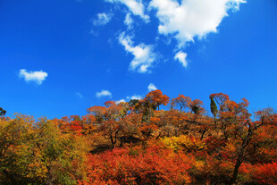 秋日山林蓝天美景