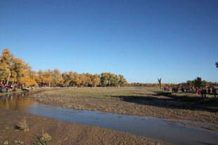 秋日河畔风光