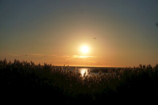 夕阳下的湿地美景