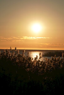夕阳下的水边宁静美景
