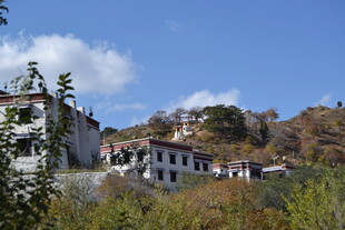 山坡上的藏式建筑风景