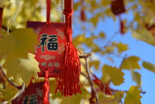 树枝上的福字挂饰
