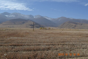 广袤田野与远山风景