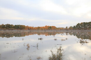 秋日宁静湖面风景