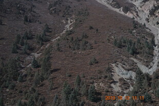 俯瞰山林地貌景观