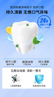 持久清新口气的牙膏推荐