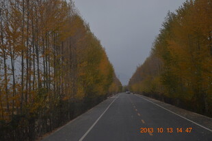 秋日林间公路美景