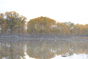 秋日湖畔美景