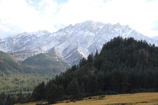 雪山下的葱郁山林