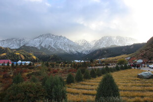 雪山下的多彩田园风光