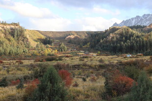 山间多彩植被景观