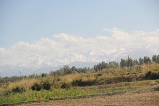 田野风光与远处山峦
