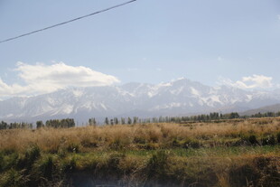 草原远望雪山壮丽景色