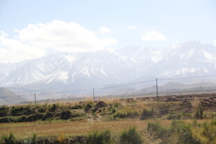 壮丽雪山下的原野风光